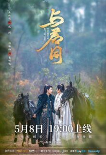 Journey with You (2026)